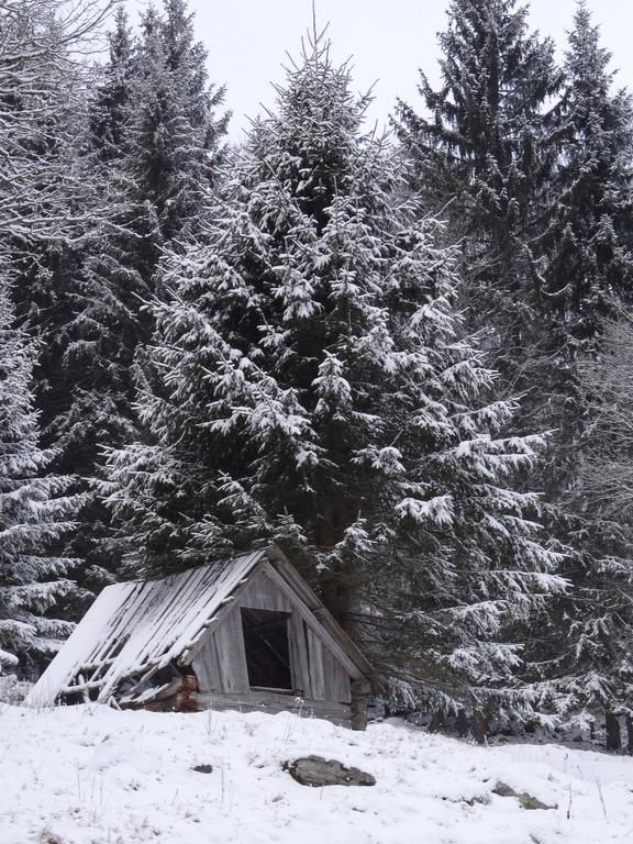 Rojerhof Βίλα Schladming Εξωτερικό φωτογραφία