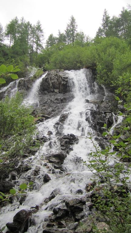 Rojerhof Βίλα Schladming Εξωτερικό φωτογραφία