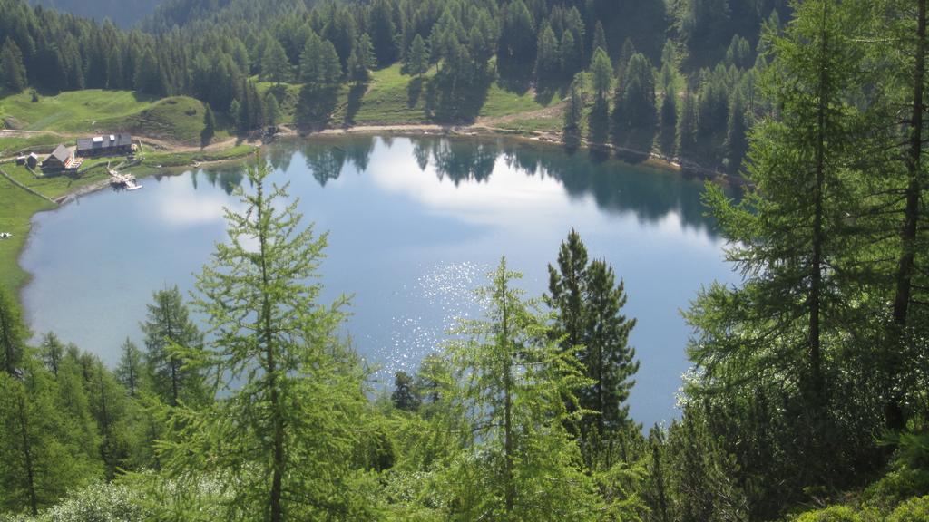 Rojerhof Βίλα Schladming Εξωτερικό φωτογραφία