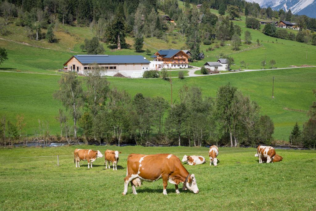 Rojerhof Βίλα Schladming Εξωτερικό φωτογραφία