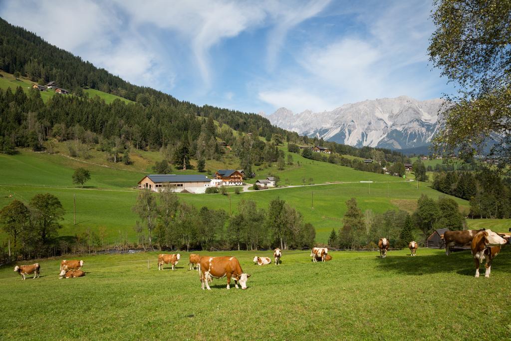 Rojerhof Βίλα Schladming Εξωτερικό φωτογραφία